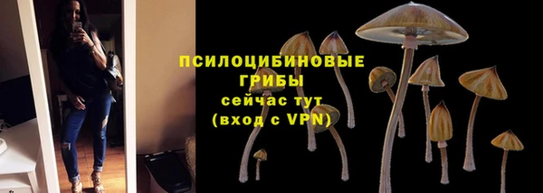apvp Дмитровск