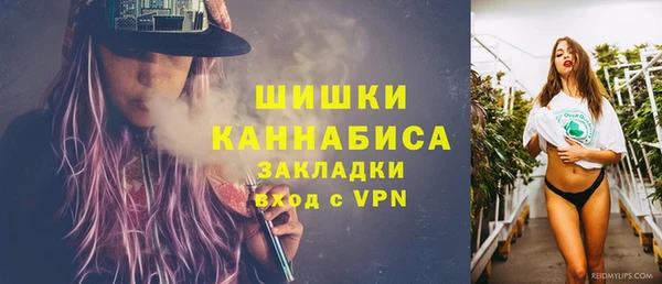 гидра Дмитриев