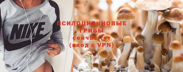 гидра Дмитриев
