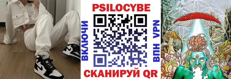 блэк спрут как войти  Плавск  Псилоцибиновые грибы прущие грибы 